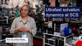 thumbnail of medium Investigation of ultrafast electron solvation dynamics in aqueous systems at European XFEL