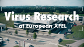 Virus research at European XFEL