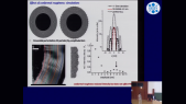 thumbnail of medium 10 nm beam confinement by X-ray waveguides: optics and holography experiments