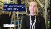 Research at the European XFEL: Structural biology research on bacterial insecticides
