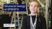 thumbnail of medium Research at the European XFEL: Structural biology research on bacterial insecticides