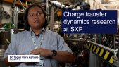 Research at the EuXFEL on dynamics of charge transfer across strongly-correlated oxide interfaces