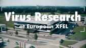 thumbnail of medium Virus research at European XFEL