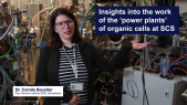 thumbnail of medium Insights into the work of the ‘power plants’ of organic cells