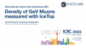 thumbnail of medium Density of GeV Muons Measured with IceTop