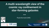 A multi-wavelength view of the cosmic ray confinement in star-forming galaxies