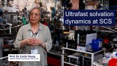 Investigation of ultrafast electron solvation dynamics in aqueous systems at European XFEL